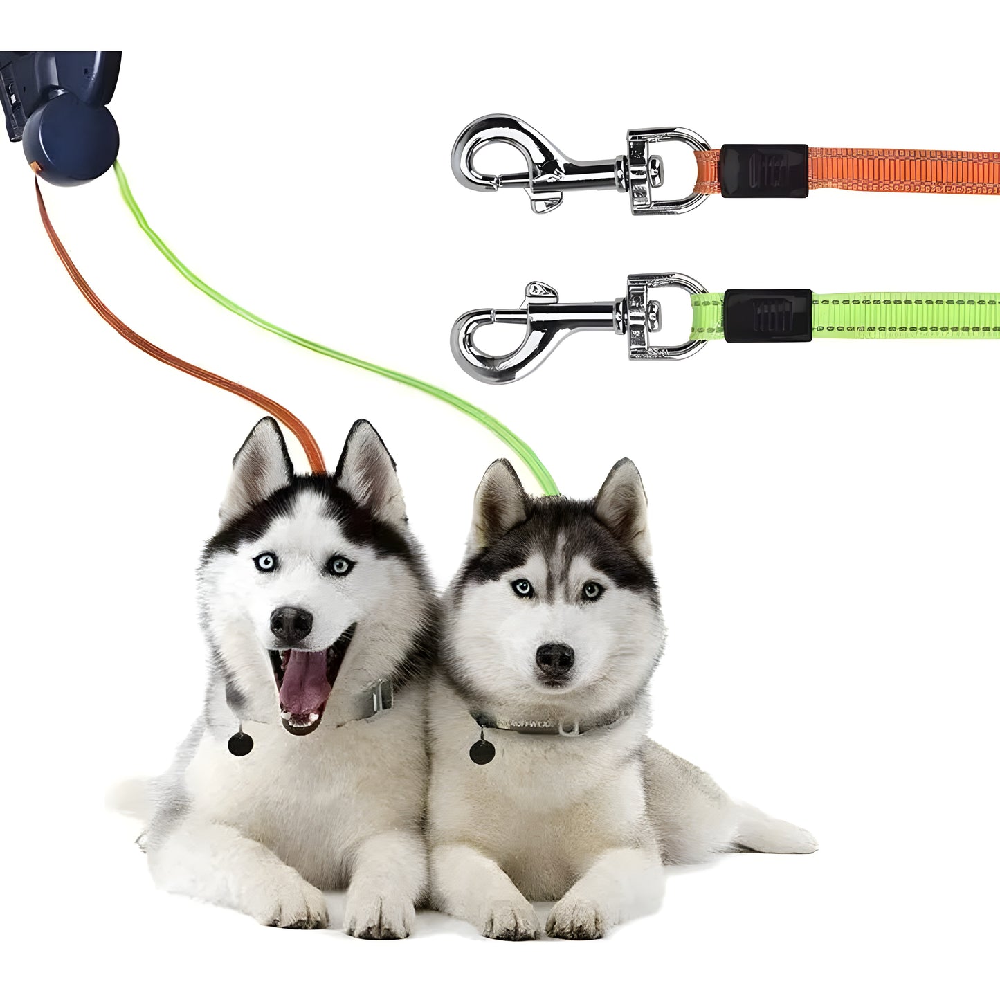 DualFlex Leash